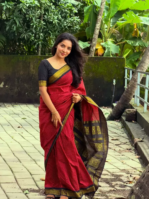 Minal - मीनल ( Gadwal Cotton silk sarees )