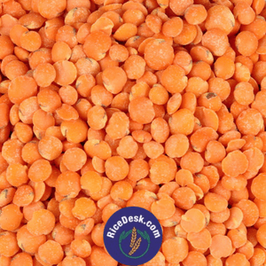 Masoor Dal | Erra Pappu Masoor Dal | Erra Pappu