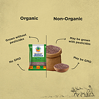 Organic Unpolished Masoor Whole (Sabut)