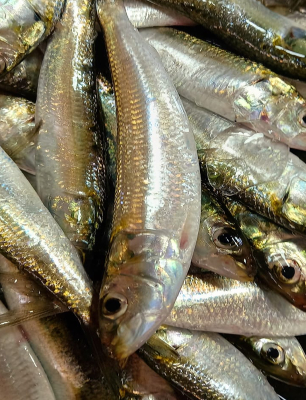 MATHI SMALL -WHOLE -500gm