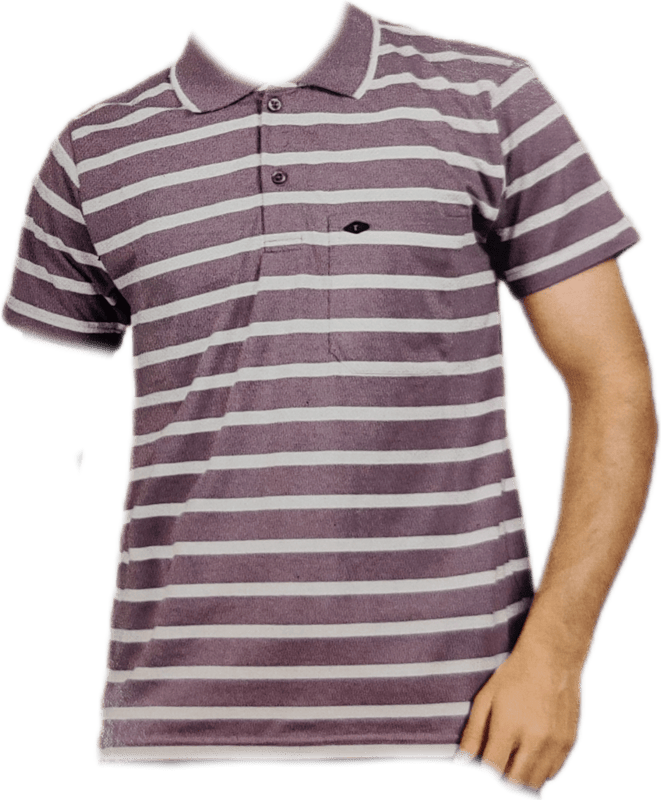 Polo Stripes Tshirt