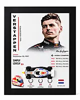 Max Verstappen Red Bull Did Cast Car Frame