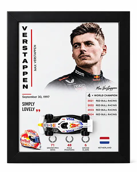 Max Verstappen Red Bull Did Cast Car Frame