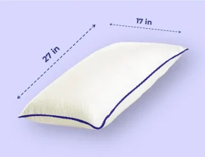 Centuary PREMIUM PILLOW|||Pillow