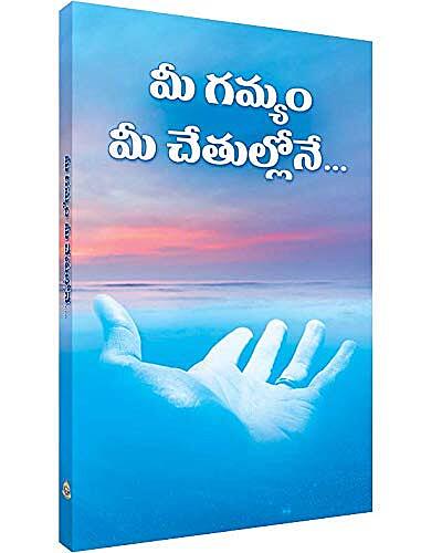 Mee Gamyam Mee Chetullonae (Telugu) (Paperback)