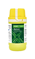 Merivon by BASF