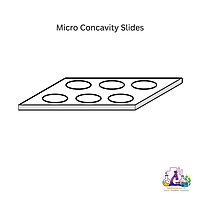 V.D.R.L. Slides (Kline Concavity Slides)