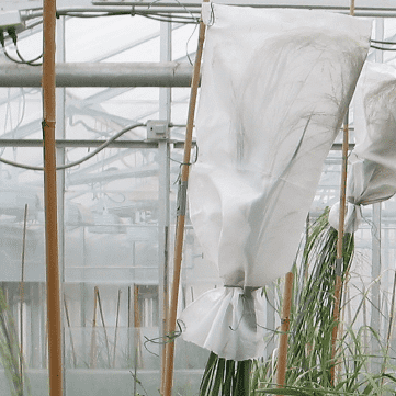 Selfing Pollination Bags Pack of 12