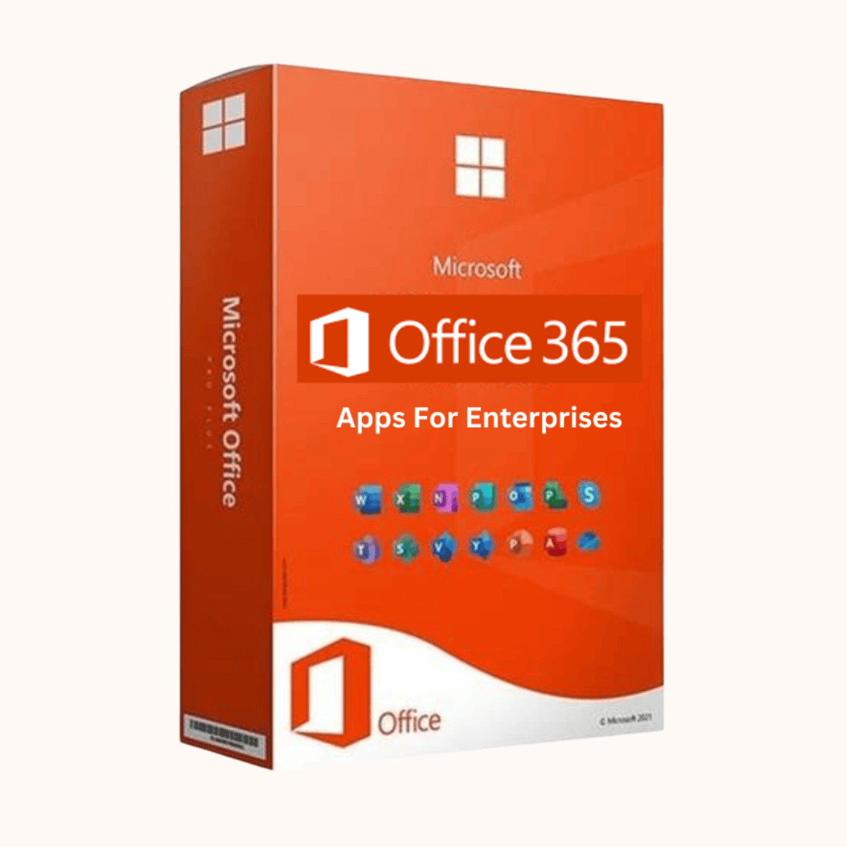 MS 365 Apps for Enterprise Faculty Academic OLP Lic (1 month sub*12)  CSP