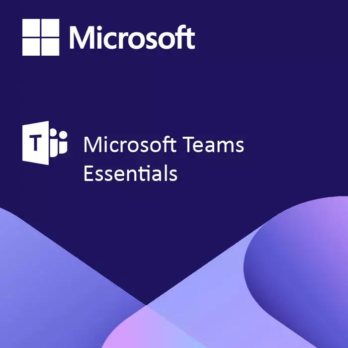Microsoft Teams Essentials | 12-Month Subscription m