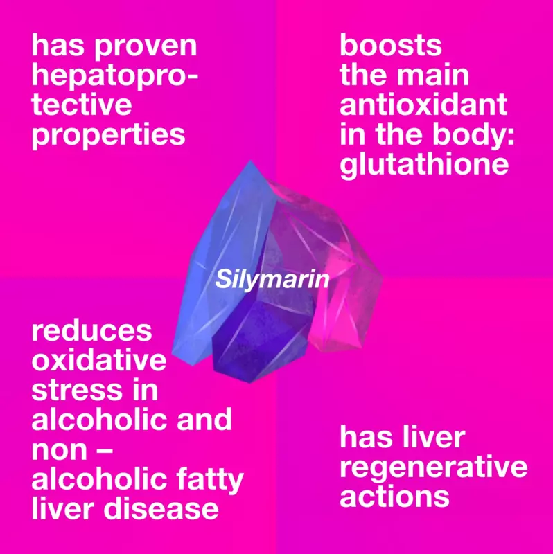 Milk Thistle Extract Veg Capsules 60 Capsules