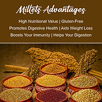 Organic Proso Millet
