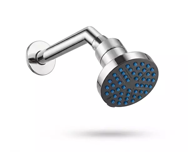 Mini Roxy Shower with Arm