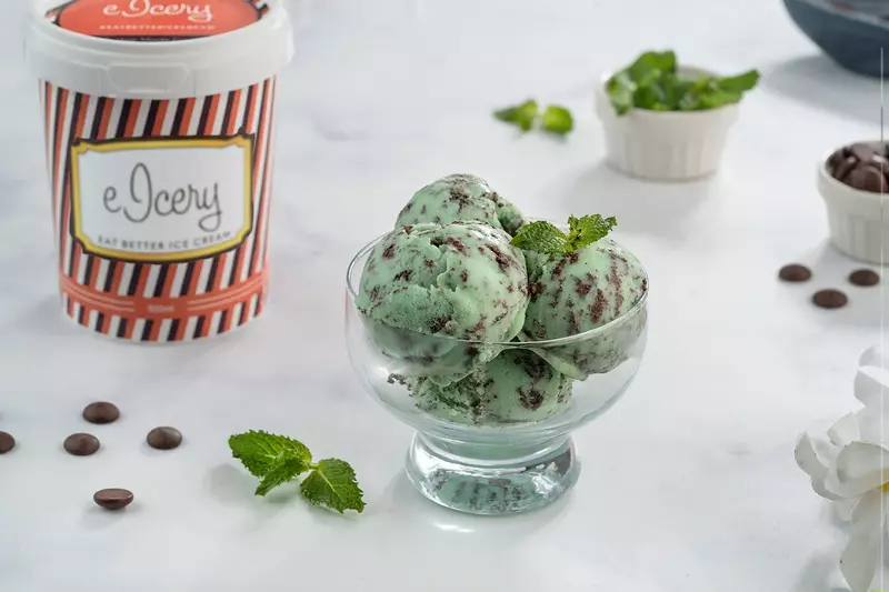 Mint Stracciatella 500 ml - eIcery