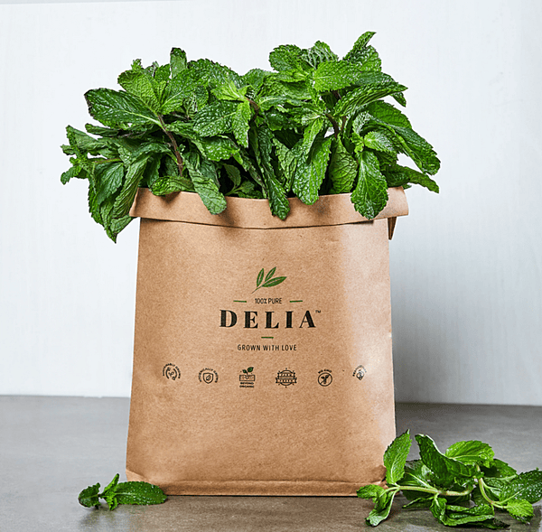 Fresh Mint 50 Gms