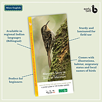 Early Bird Pocket Guides - Bulk Purchase of 50 Early Bird Pocket Guides - Bulk Purchase of 50
