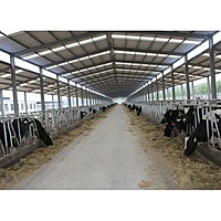 Dairy, Fisheries & Livestock Subsidy Consulting