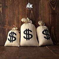 Money Bags - Set of 3