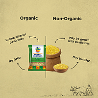 Organic Unpolished Moong Dal (Dhuli)