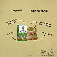 Organic Unpolished Moong Split (Chilka)