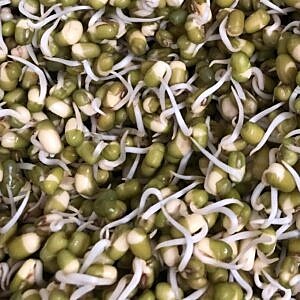 Moong Sprouts 180 Gms