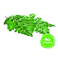 Organic Moringa Powder