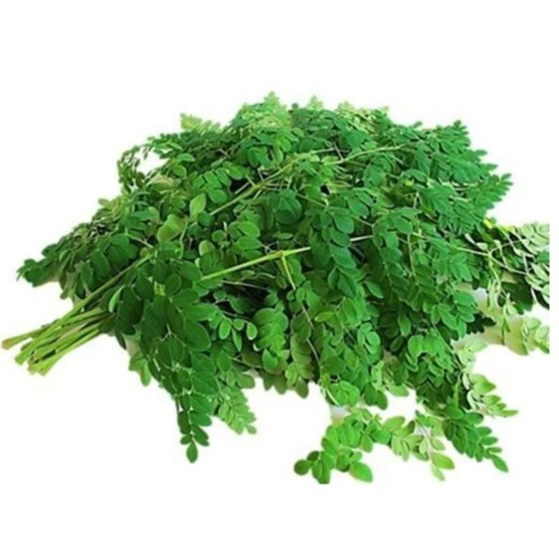 Moringa (Drumstick) Leaves -100Gms