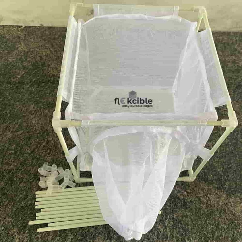 Insect Rearing Cage 4M3030