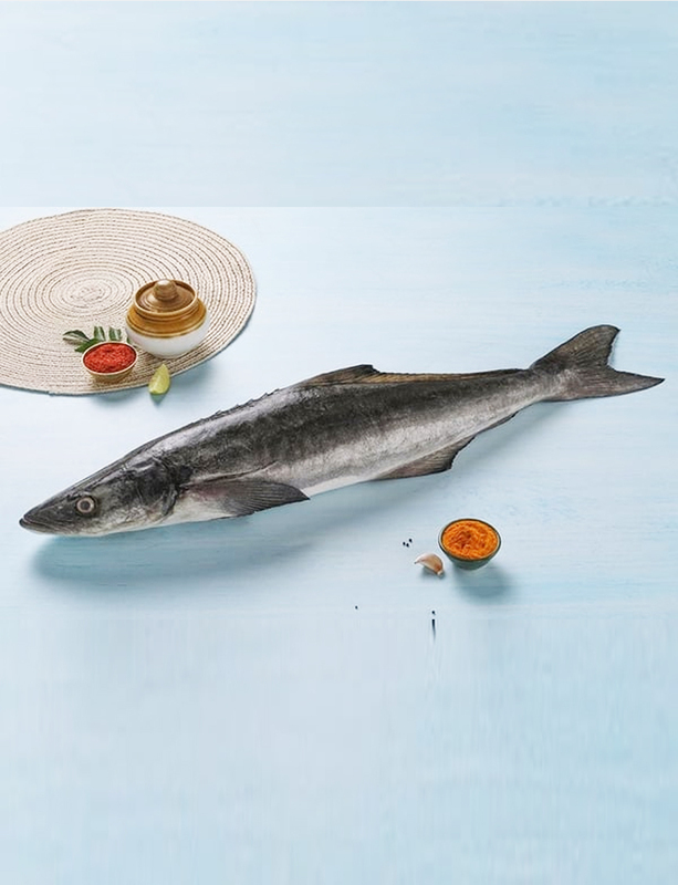 MOTHA / KING FISH- 500g
