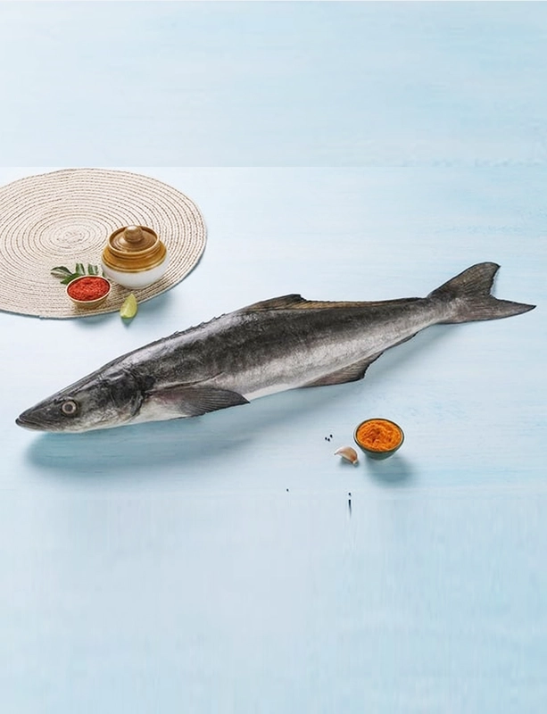 MOTHA / KING FISH- 500g
