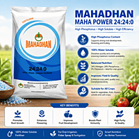 Mahadhan Maha Power 24:24:0 | Vetrivel Agro Services