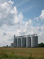 Portable Grain Storage & Silos Leasing