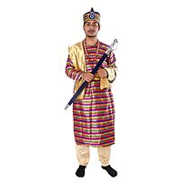 King Fancy Dress Costume