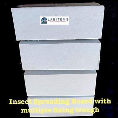 Insect Spreading Board for pinning multiple insects