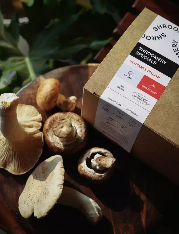 Mushroom Medley (Invitante Italian) - Shroomery