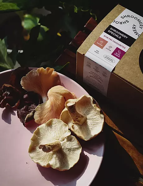 Mushroom Medley (Surprise Me) - Shroomery