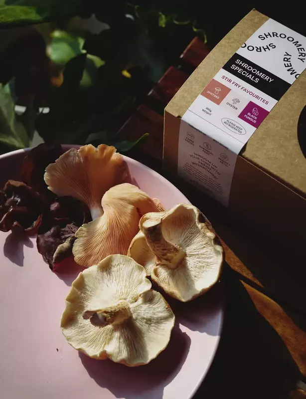 Mushroom Medley (Stir Fry Favourites) - Shroomery