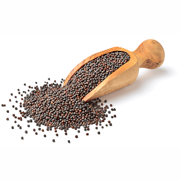 Mustard Seeds Small - 1kg