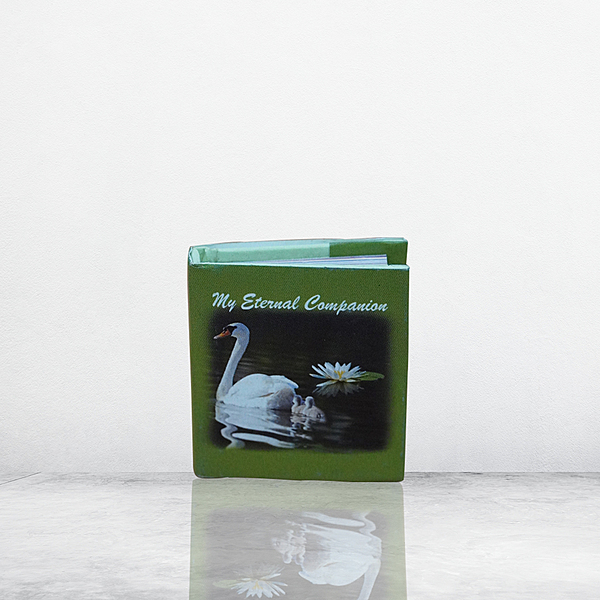 My Eternal Companion (Sri Sarada Math) (English) (Deluxe)