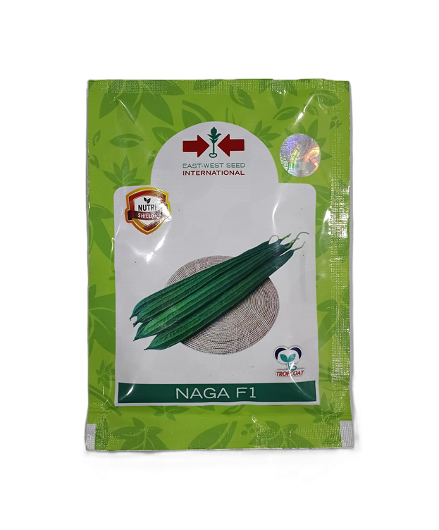 NAGA F1 (F1 HYBRID RIDGE GOURD) by EAST-WEST SEED INTERNATIONAL