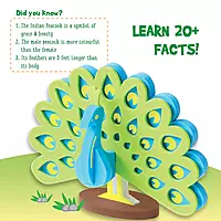 NATIONAL SYMBOL OF INDIA