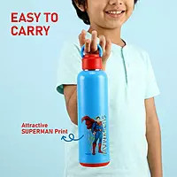 Nayasa Alpine 900 Bottle – 700 ml