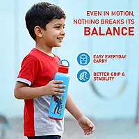 Nayasa Alpine 900 Bottle – 700 ml