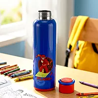 Nayasa Alpine 700 Bottle – 547 ml