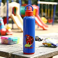 Nayasa Alpine 700 Bottle – 547 ml