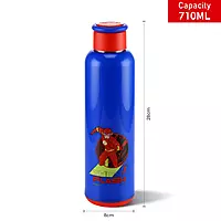 Nayasa Alpine 900 Bottle – 700 ml
