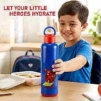 Nayasa Alpine 900 Bottle – 700 ml