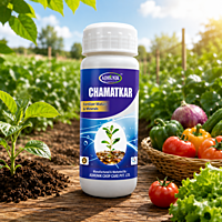 Adhunik CHAMATKAR Fertilizer Mixture & Minerals (PGPR) | Vetrivel Agro Services