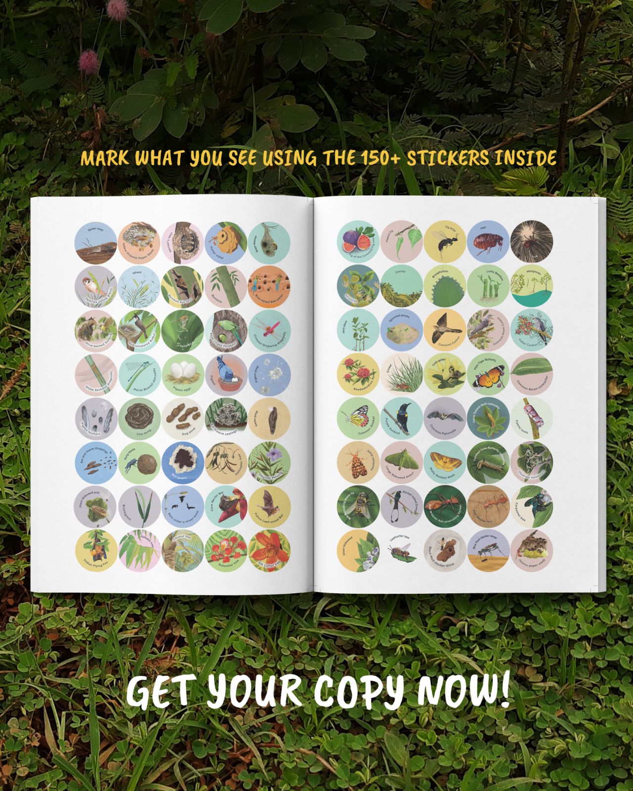 Be a Neighborhood Naturalist : Explore Nature With Activities and Experiments