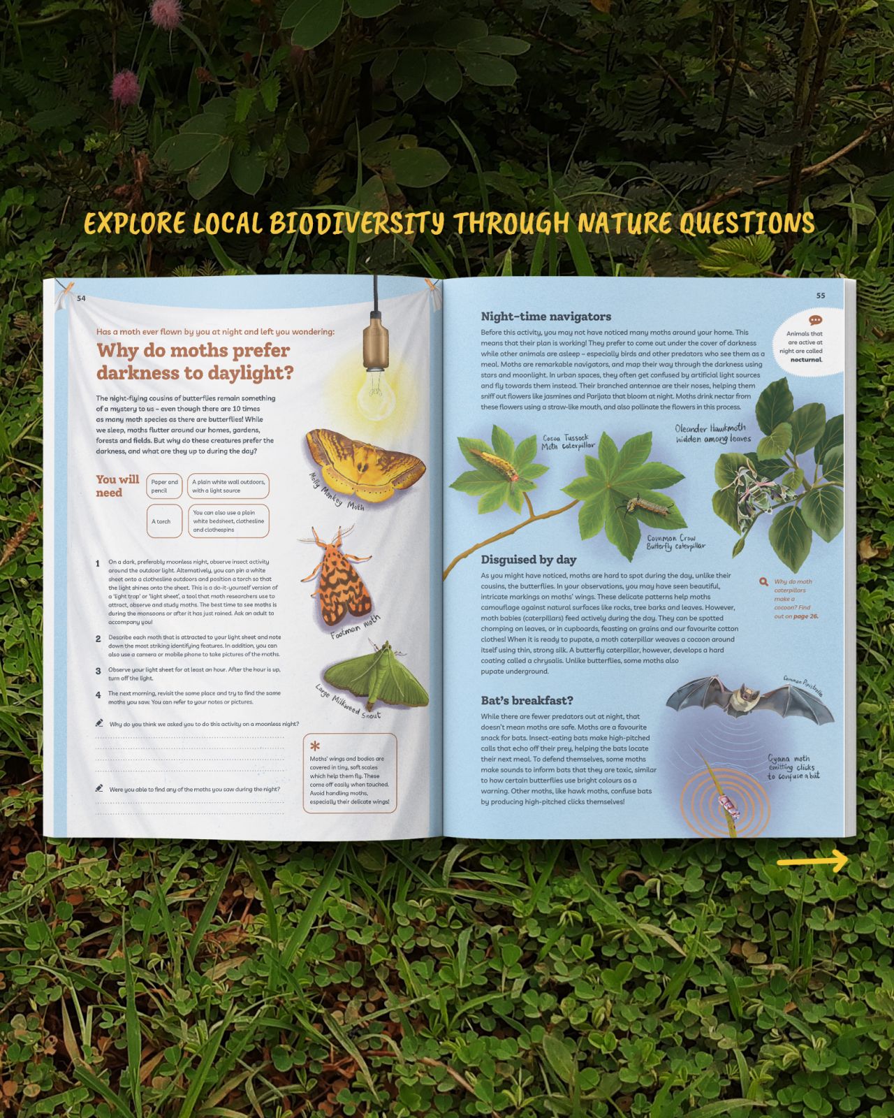 Be a Neighborhood Naturalist : Explore Nature With Activities and Experiments
